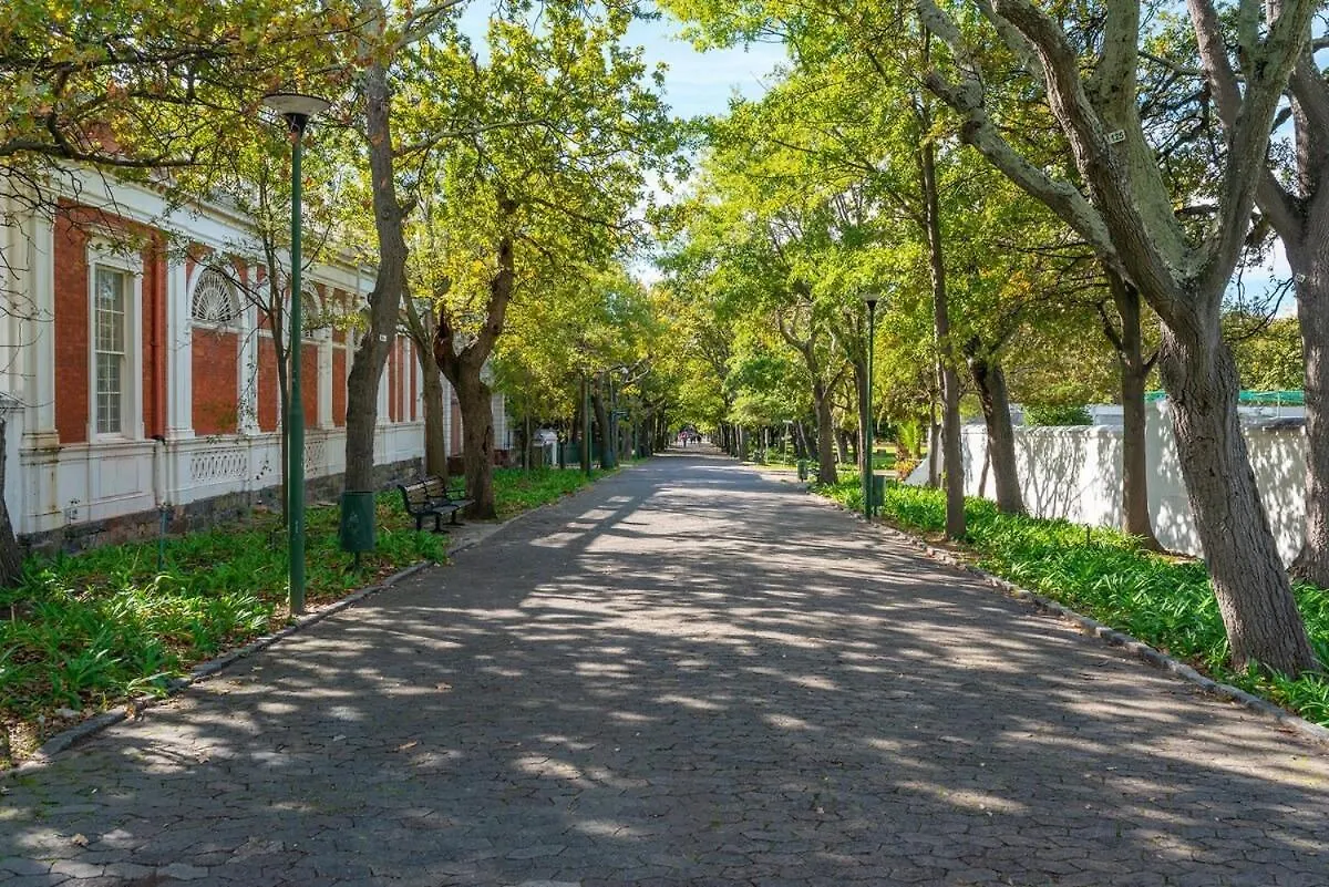 Arty, Bright,Central Spot For Couples-Wifi,Parking Cape Town